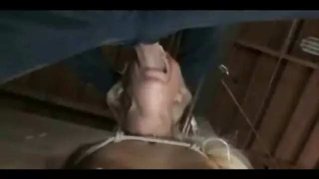 Pornografia sem registo  A mostrar buracos vídeo de pornô no big brother pedido de camurça