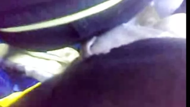 Pornografia sem registo  Lésbicas triplas na limpeza filmes pornô do sexy hot